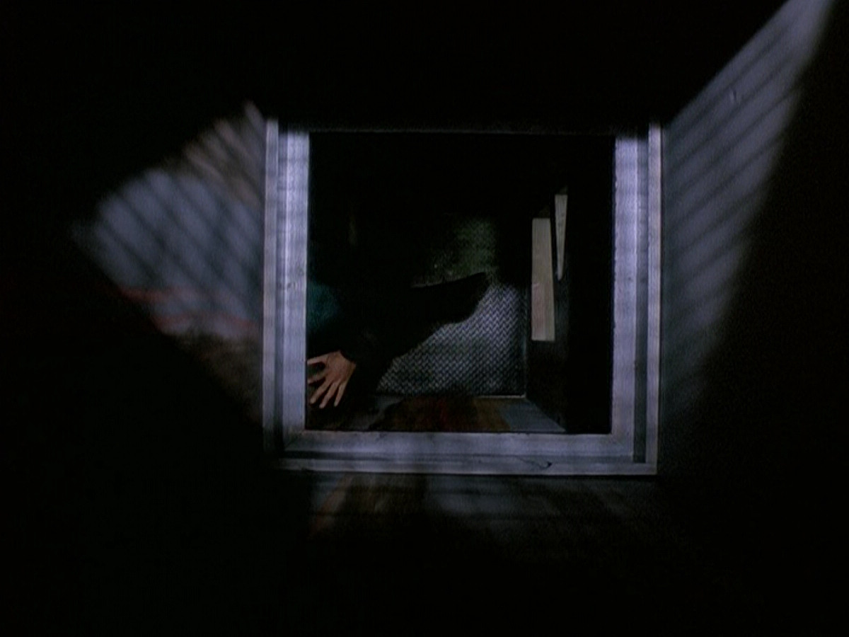 extant_StarTrek_DS9_5x15-ByInfernosLight_01893.jpg