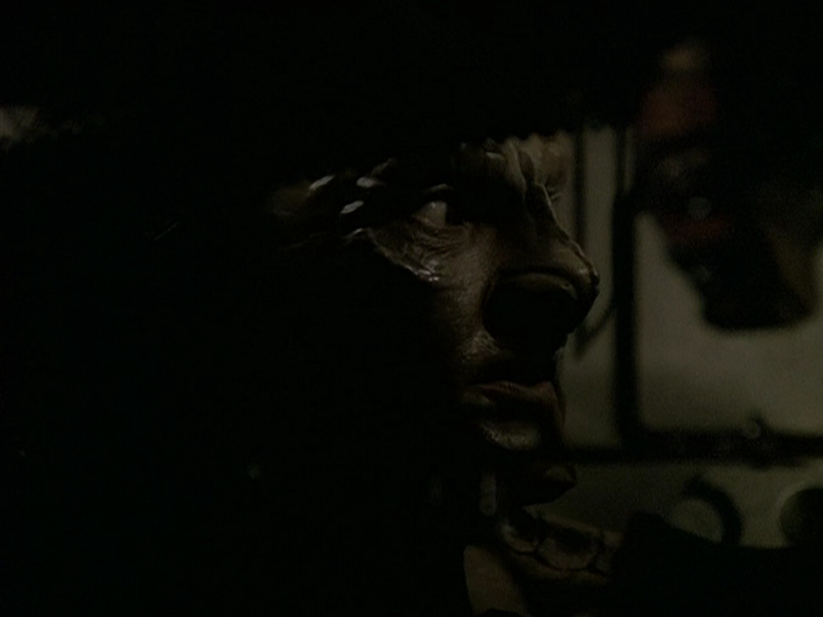 extant_StarTrek_DS9_5x15-ByInfernosLight_01910.jpg