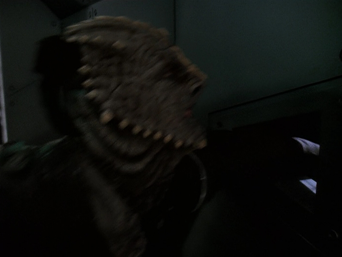extant_StarTrek_DS9_5x15-ByInfernosLight_03012.jpg