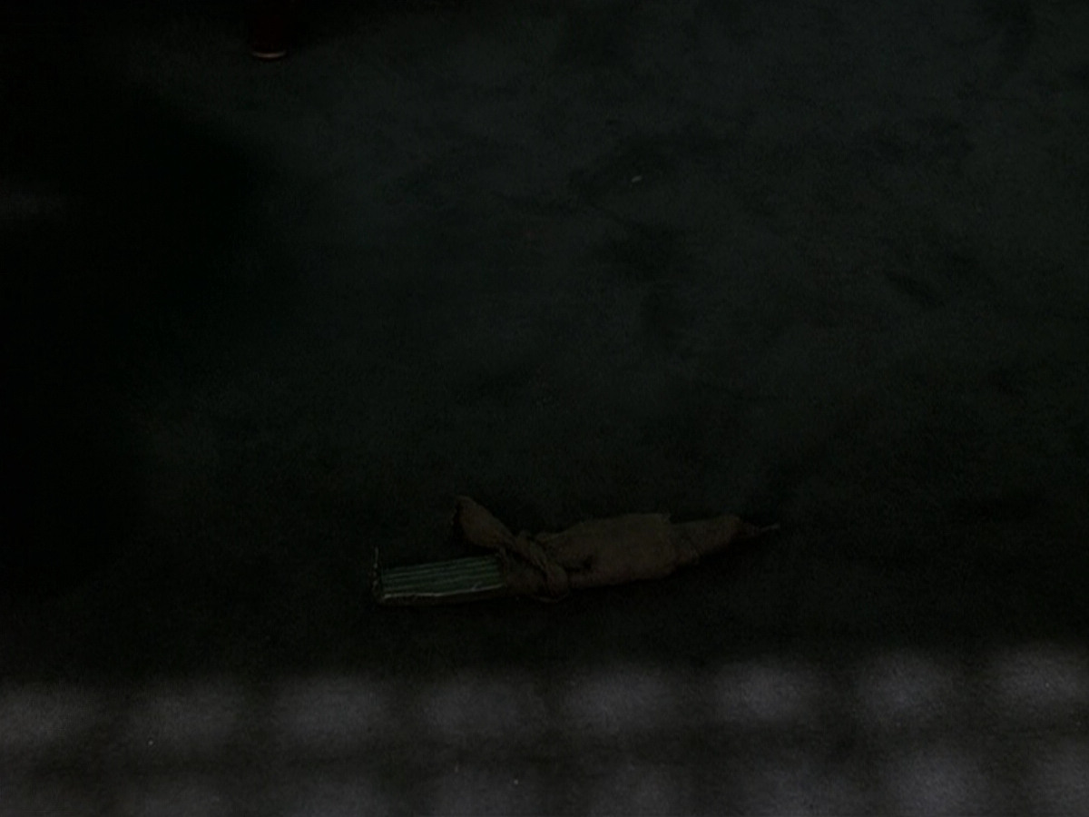 extant_StarTrek_DS9_5x15-ByInfernosLight_03053.jpg
