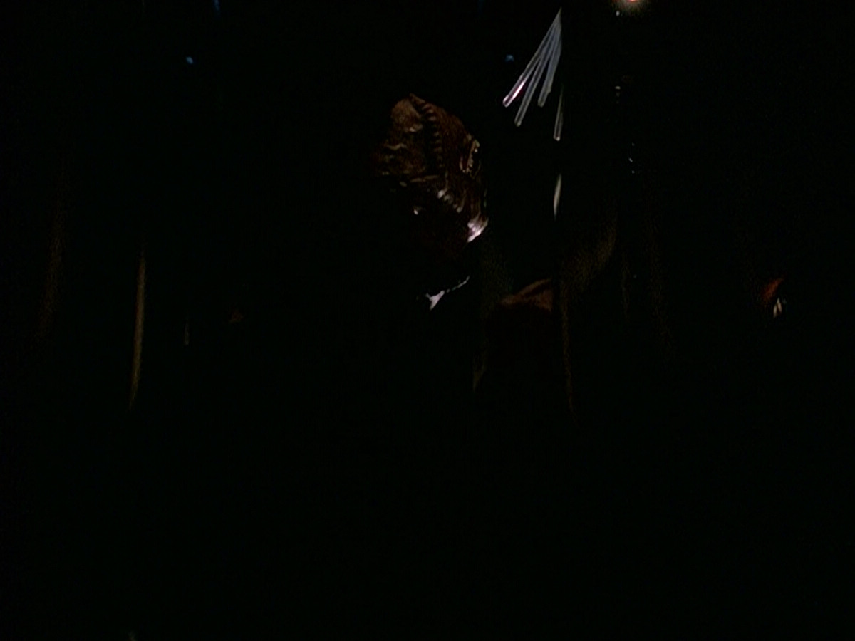 extant_StarTrek_DS9_5x15-ByInfernosLight_03077.jpg