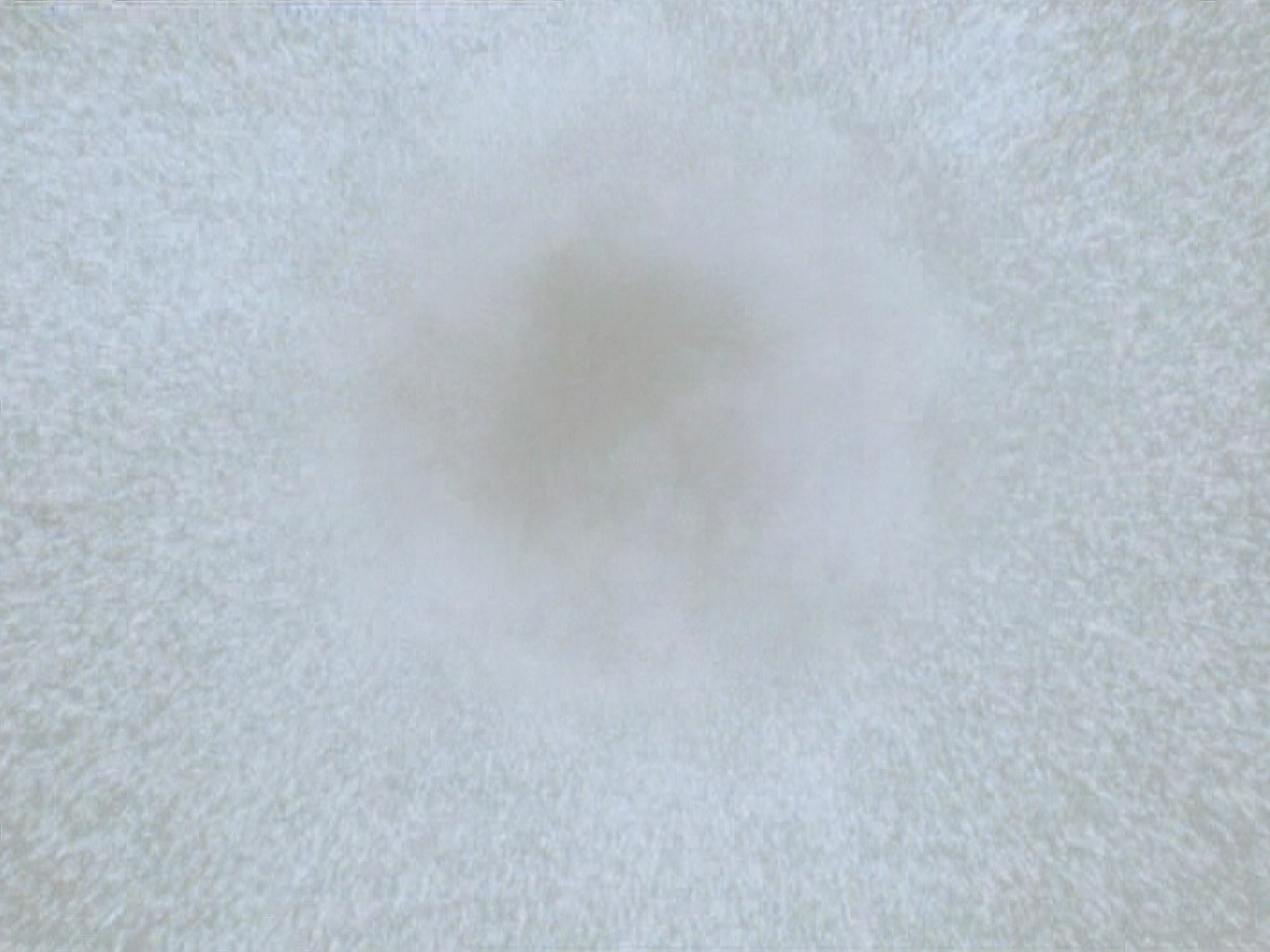 extant_StarTrek_DS9_5x15-ByInfernosLight_03452.jpg