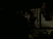 extant_StarTrek_DS9_5x15-ByInfernosLight_01911.jpg