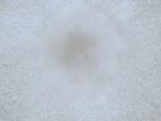 extant_StarTrek_DS9_5x15-ByInfernosLight_03452.jpg