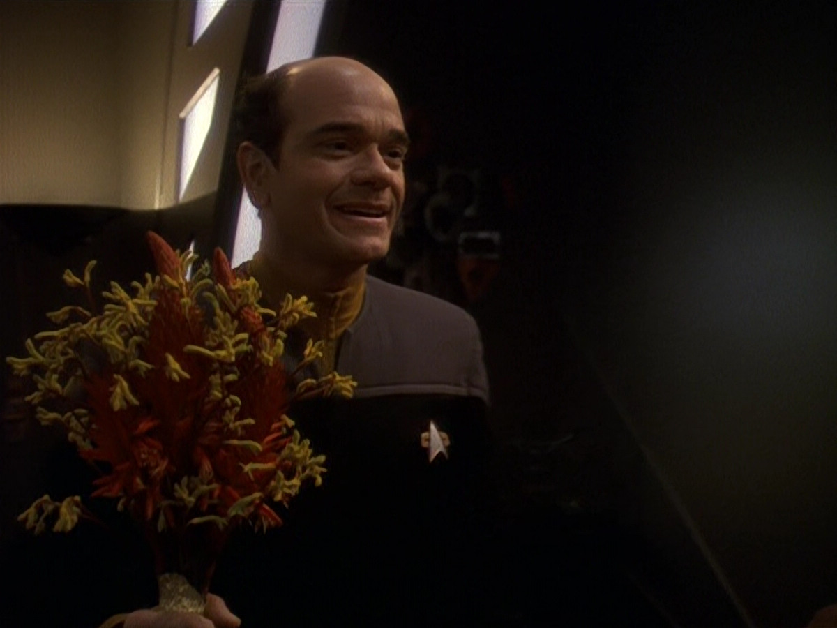 extant_StarTrek_DS9_5x16-DoctorBashirIPresume_01635.jpg