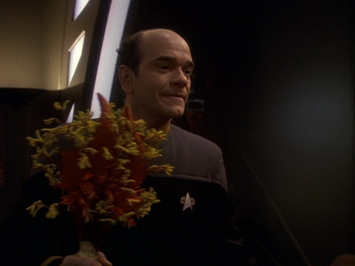 extant_StarTrek_DS9_5x16-DoctorBashirIPresume_01636.jpg