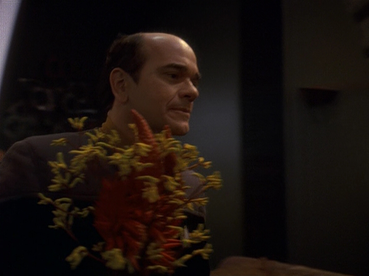 extant_StarTrek_DS9_5x16-DoctorBashirIPresume_01637.jpg