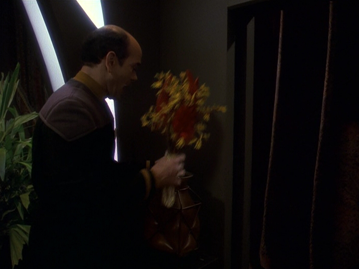 extant_StarTrek_DS9_5x16-DoctorBashirIPresume_01649.jpg