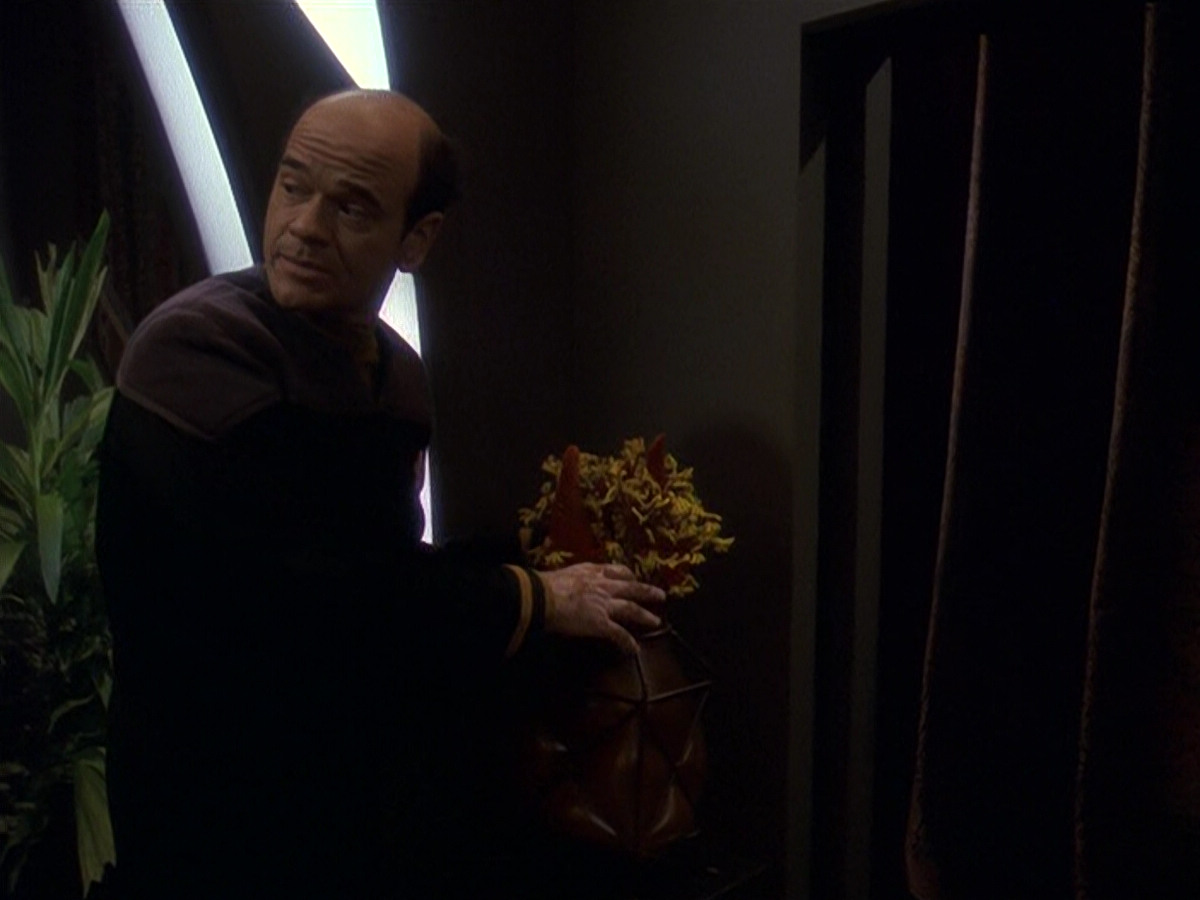 extant_StarTrek_DS9_5x16-DoctorBashirIPresume_01654.jpg