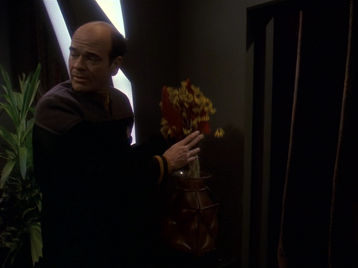 extant_StarTrek_DS9_5x16-DoctorBashirIPresume_01655.jpg