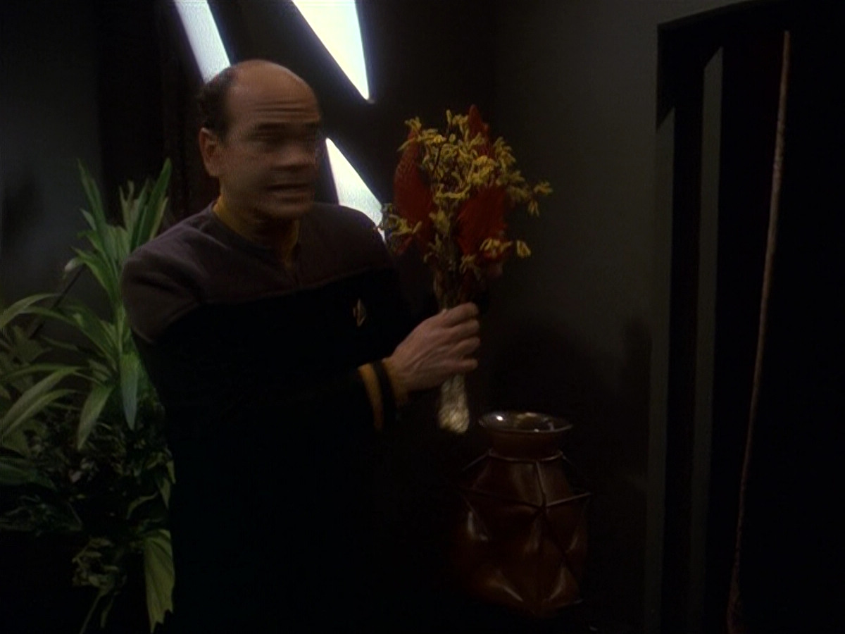 extant_StarTrek_DS9_5x16-DoctorBashirIPresume_01656.jpg