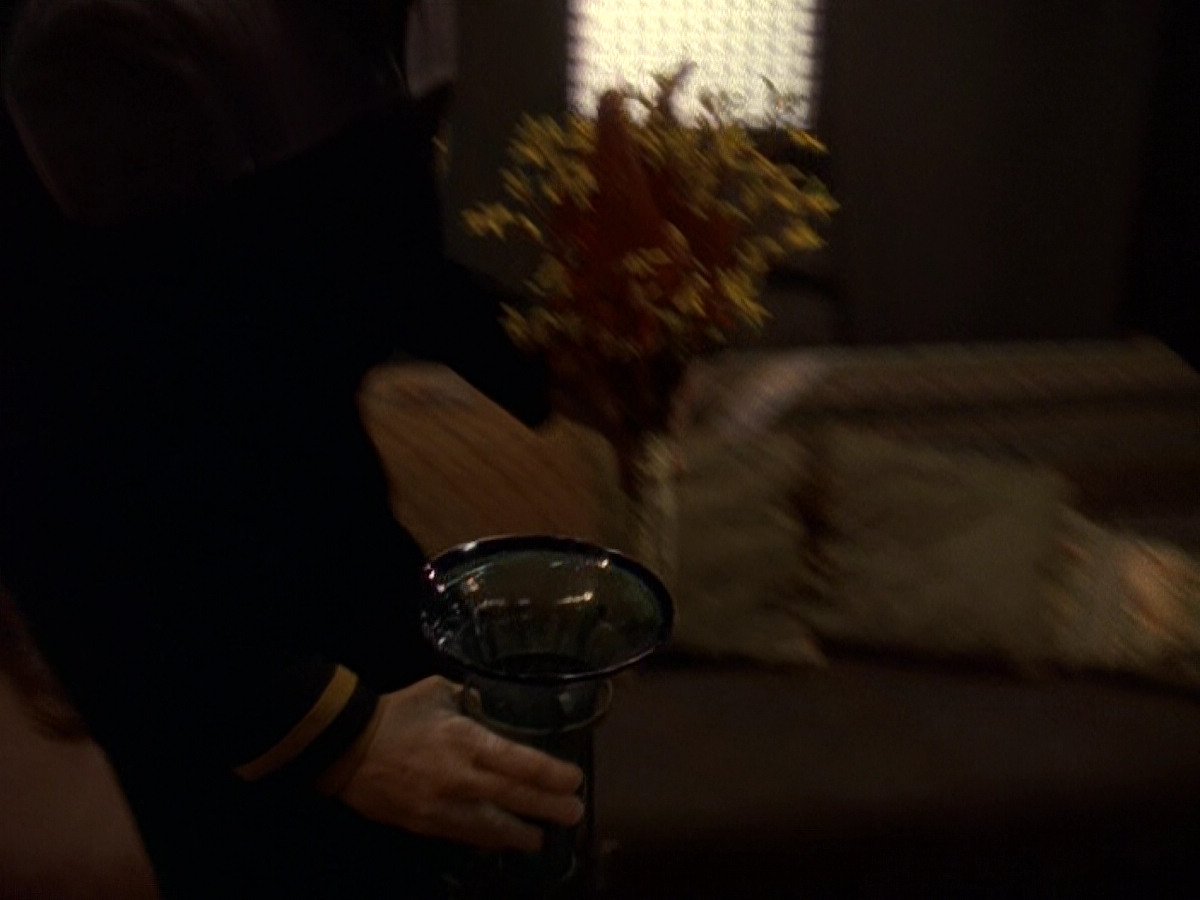 extant_StarTrek_DS9_5x16-DoctorBashirIPresume_01674.jpg