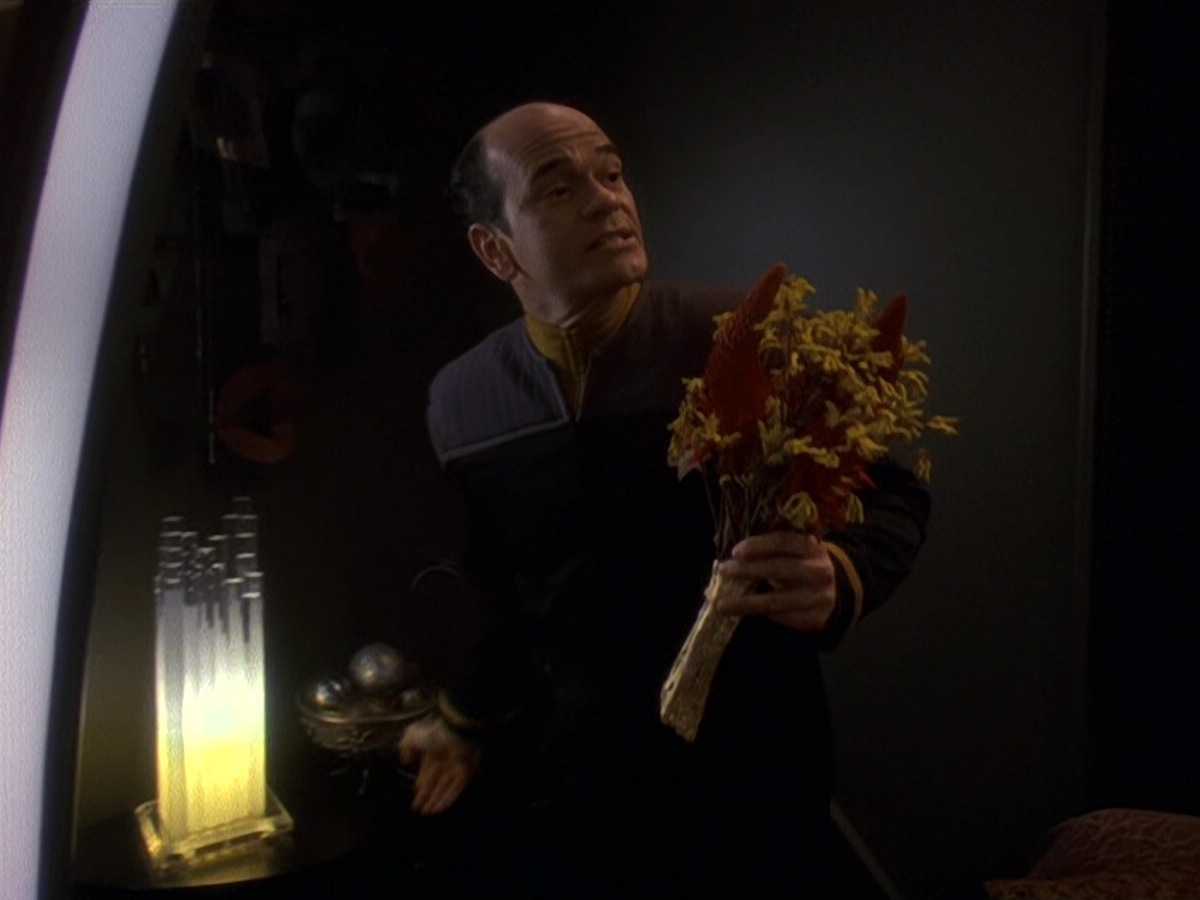 extant_StarTrek_DS9_5x16-DoctorBashirIPresume_01688.jpg