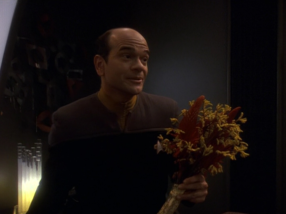 extant_StarTrek_DS9_5x16-DoctorBashirIPresume_01690.jpg