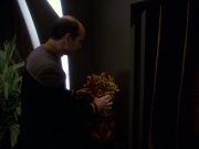 extant_StarTrek_DS9_5x16-DoctorBashirIPresume_01653.jpg