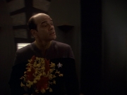 extant_StarTrek_DS9_5x16-DoctorBashirIPresume_01666.jpg