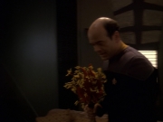 extant_StarTrek_DS9_5x16-DoctorBashirIPresume_01667.jpg