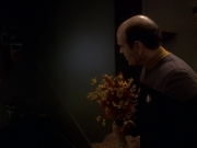 extant_StarTrek_DS9_5x16-DoctorBashirIPresume_01668.jpg