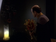 extant_StarTrek_DS9_5x16-DoctorBashirIPresume_01669.jpg