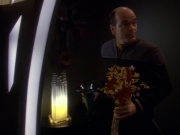 extant_StarTrek_DS9_5x16-DoctorBashirIPresume_01672.jpg