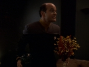 extant_StarTrek_DS9_5x16-DoctorBashirIPresume_01673.jpg