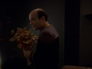 extant_StarTrek_DS9_5x16-DoctorBashirIPresume_01681.jpg