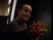 extant_StarTrek_DS9_5x16-DoctorBashirIPresume_01693.jpg