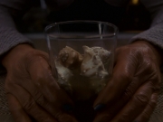 extant_StarTrek_DS9_5x16-DoctorBashirIPresume_02741.jpg