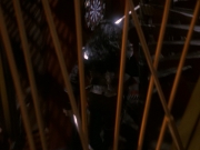 extant_StarTrek_DS9_5x16-DoctorBashirIPresume_03638.jpg