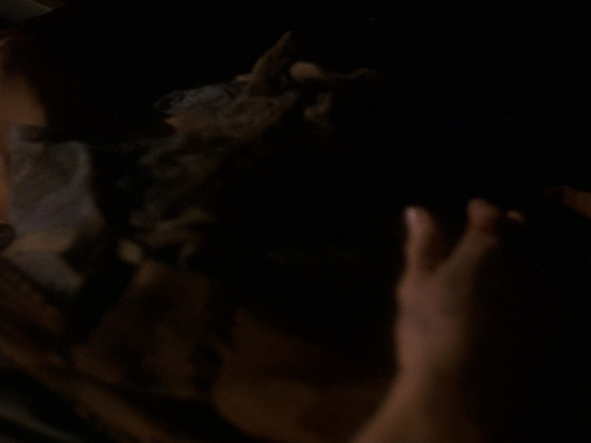 extant_StarTrek_DS9_5x19-TiesOfBloodAndWater_01284.jpg