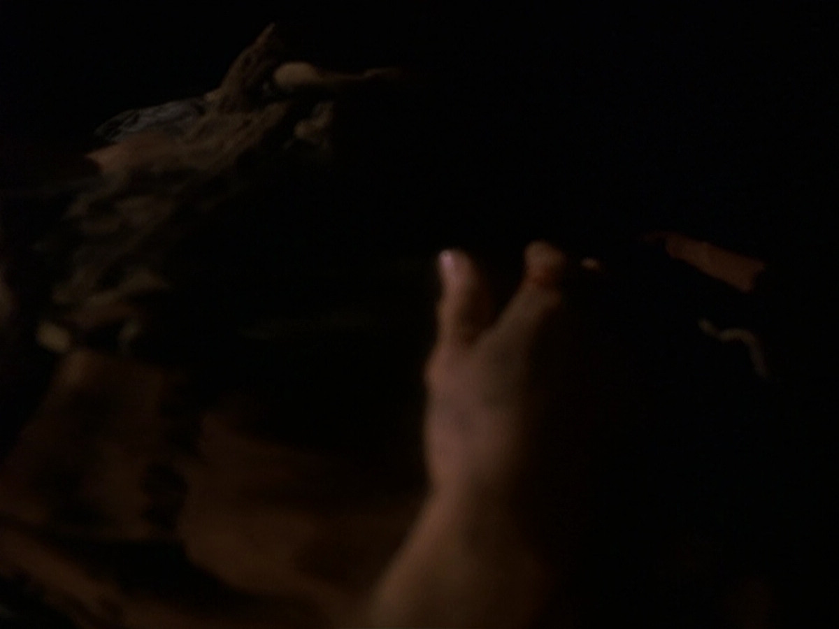 extant_StarTrek_DS9_5x19-TiesOfBloodAndWater_01285.jpg