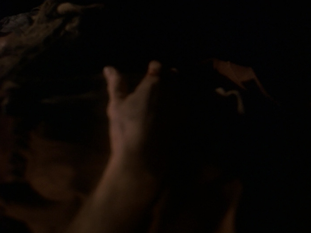 extant_StarTrek_DS9_5x19-TiesOfBloodAndWater_01287.jpg