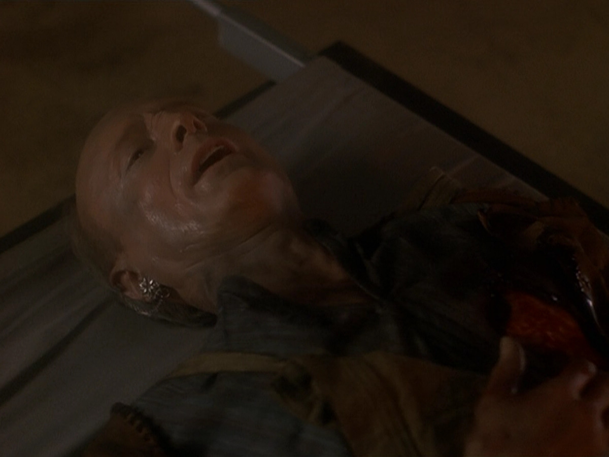 extant_StarTrek_DS9_5x19-TiesOfBloodAndWater_01596.jpg