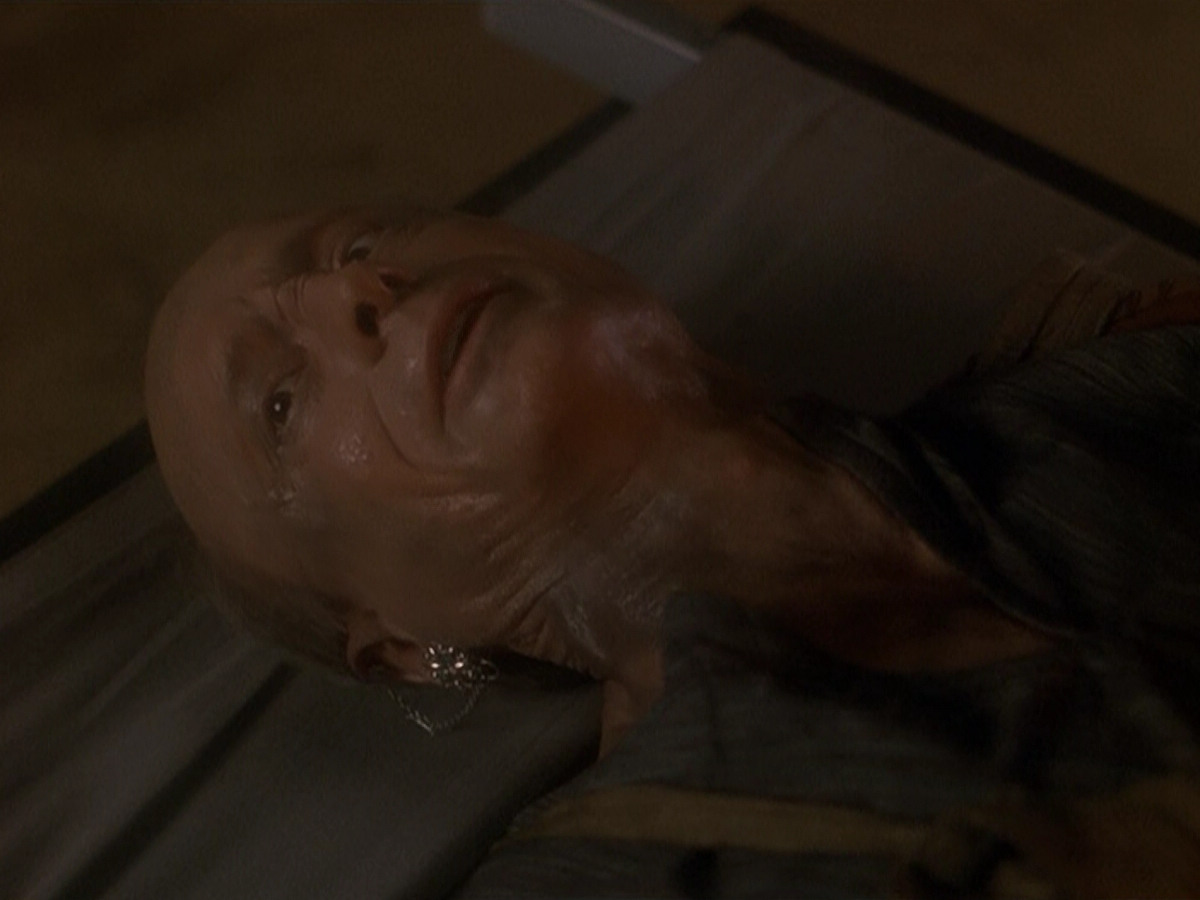 extant_StarTrek_DS9_5x19-TiesOfBloodAndWater_01615.jpg