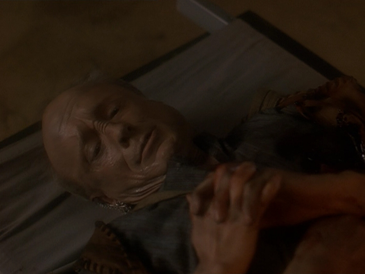 extant_StarTrek_DS9_5x19-TiesOfBloodAndWater_01683.jpg