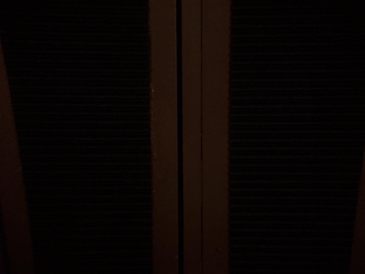 extant_StarTrek_DS9_5x19-TiesOfBloodAndWater_01891.jpg