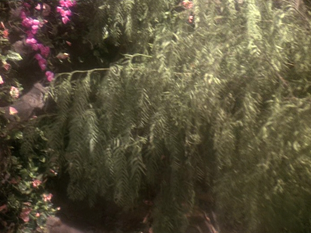 extant_StarTrek_DS9_5x19-TiesOfBloodAndWater_03706.jpg