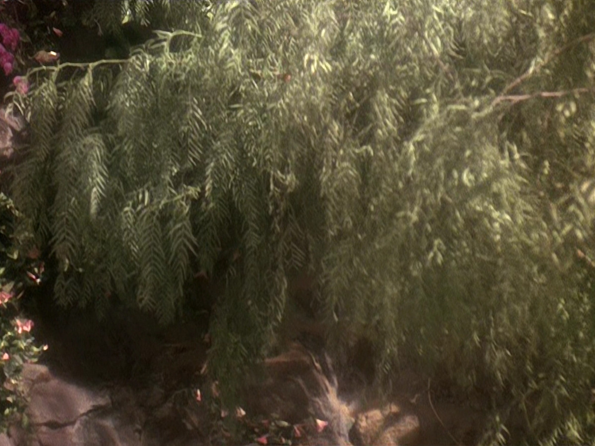 extant_StarTrek_DS9_5x19-TiesOfBloodAndWater_03707.jpg