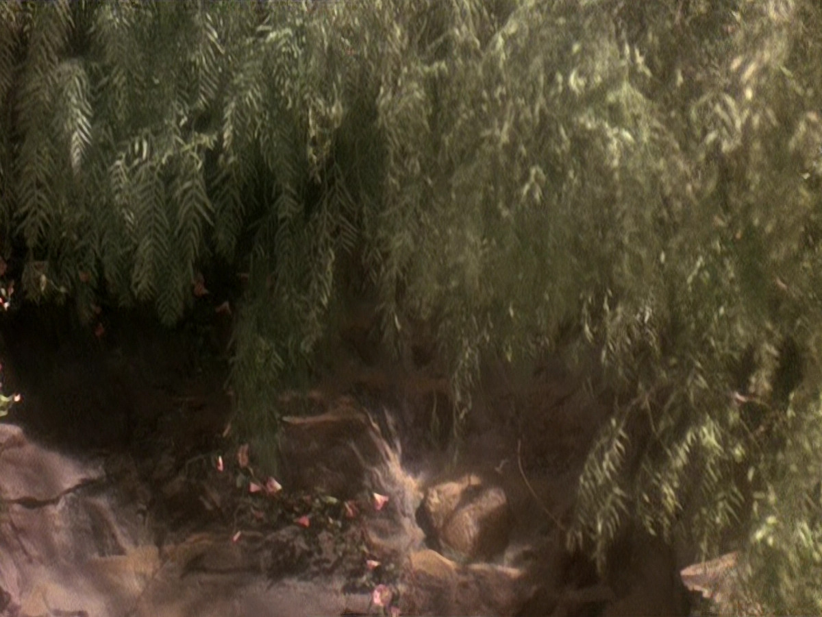 extant_StarTrek_DS9_5x19-TiesOfBloodAndWater_03708.jpg