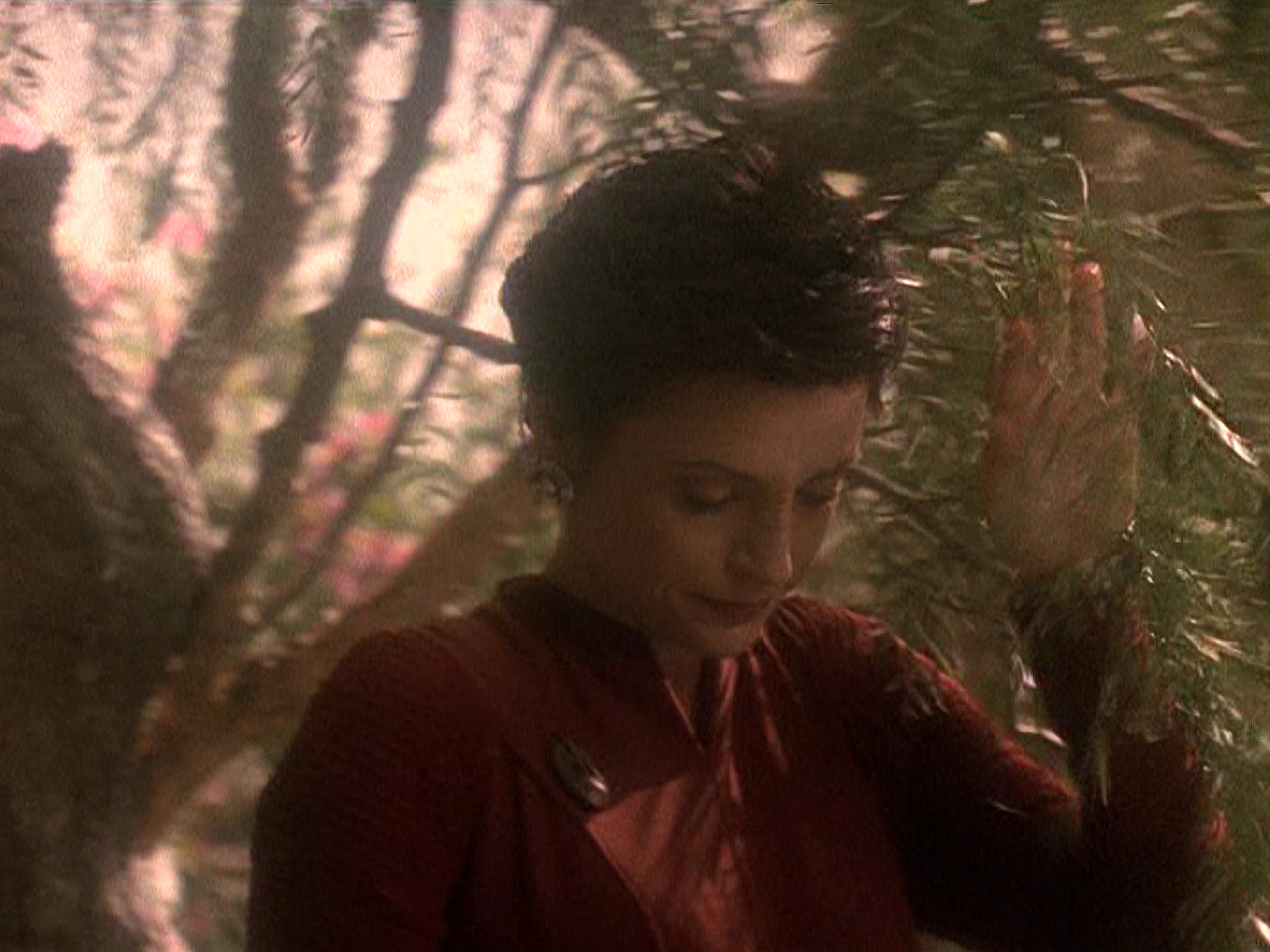 extant_StarTrek_DS9_5x19-TiesOfBloodAndWater_03748.jpg