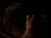 extant_StarTrek_DS9_5x19-TiesOfBloodAndWater_01285.jpg