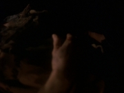 extant_StarTrek_DS9_5x19-TiesOfBloodAndWater_01286.jpg