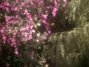 extant_StarTrek_DS9_5x19-TiesOfBloodAndWater_03704.jpg