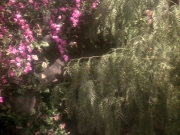 Filename=extant_StarTrek_DS9_5x19-TiesOfBloodAndWater_03705.jpg
Filesize=291KiB
Dimensions=1200x900
Date added=Dec 20, 2019 extant_StarTrek_DS9_5x19-TiesOfBloodAndWater_03705.jpg