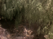 Filename=extant_StarTrek_DS9_5x19-TiesOfBloodAndWater_03708.jpg
Filesize=242KiB
Dimensions=1200x900
Date added=Dec 20, 2019 extant_StarTrek_DS9_5x19-TiesOfBloodAndWater_03708.jpg