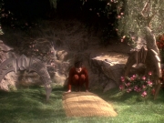 extant_StarTrek_DS9_5x19-TiesOfBloodAndWater_03714.jpg