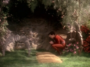 extant_StarTrek_DS9_5x19-TiesOfBloodAndWater_03725.jpg