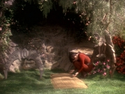 extant_StarTrek_DS9_5x19-TiesOfBloodAndWater_03733.jpg