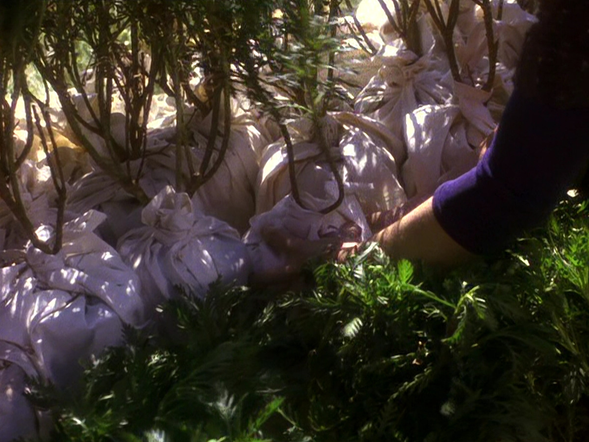 extant_StarTrek_DS9_5x22-ChildrenOfTime_02940.jpg