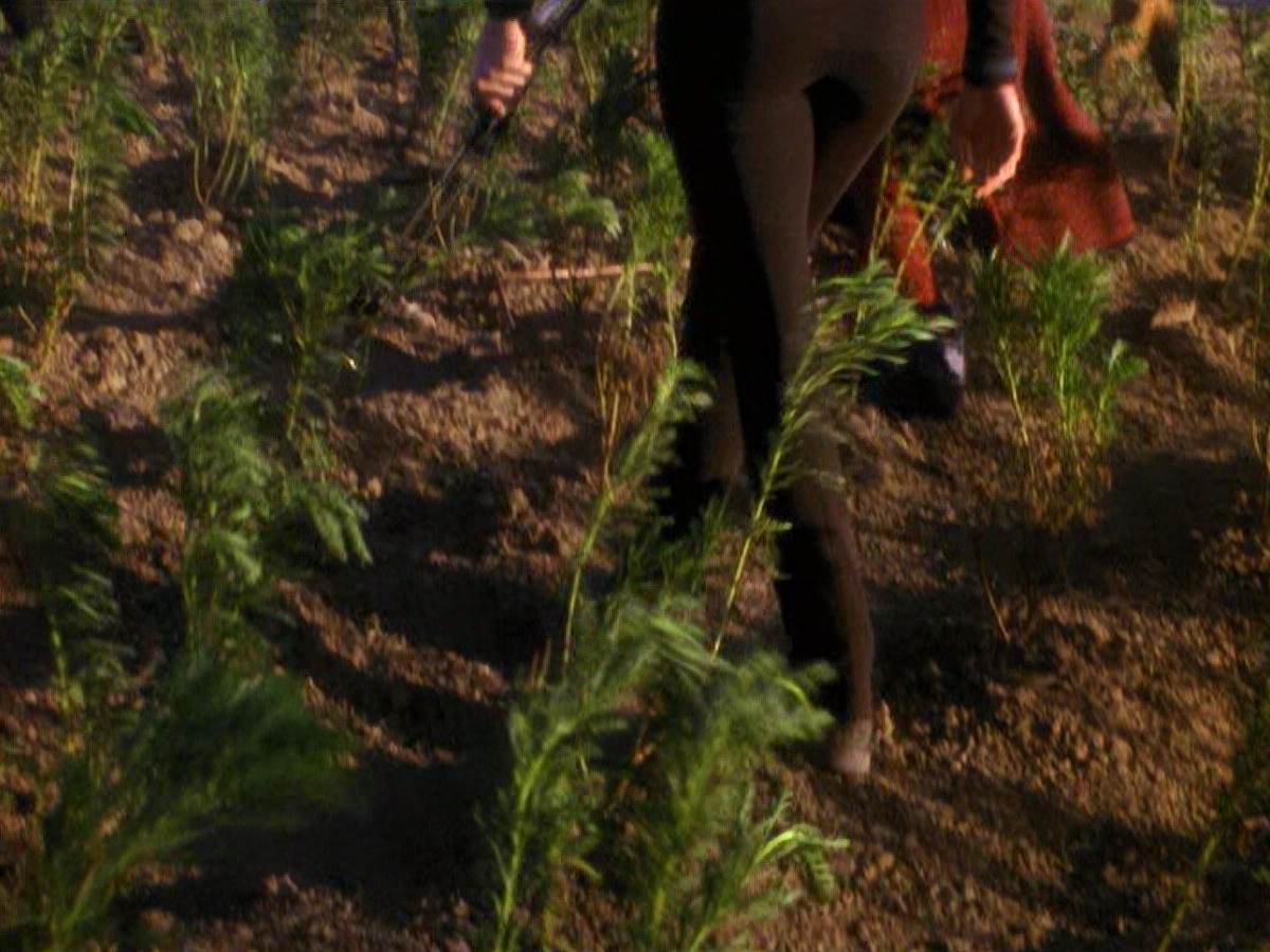 extant_StarTrek_DS9_5x22-ChildrenOfTime_02961.jpg